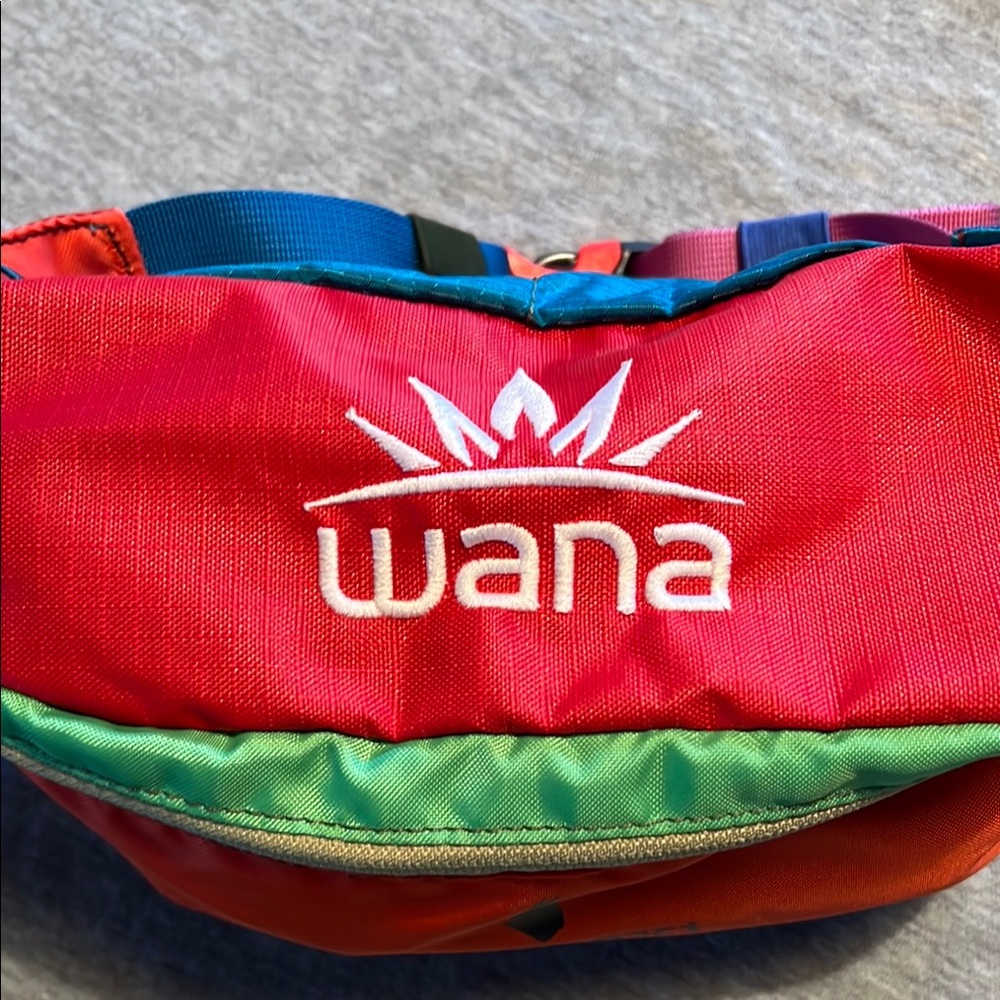 *NWT* Cotopaxi Bataan 3L Del Dia Fanny Pack - Picture 3 of 7